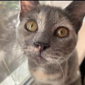 Meet your Posher, Aubrey